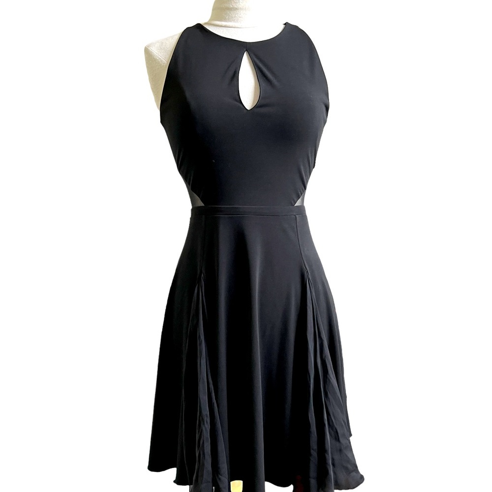 ELIZABETH AND JAMES Skater Dress Peep Hole Front Chiffon Insets Women’s Size XS